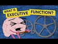 Understanding Executive Function and ADHD