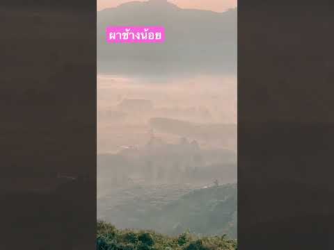 ผาช้างน้อยจ.พะเยาเช้านี้พะเยาsadoodta ท่องเที่ยวสะดุดตา sadoodta ผาช้างน้อยจ.พะเยาเช้านี้พะเยาsadoodta