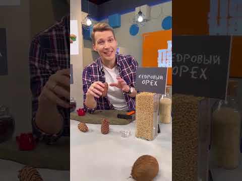 Не орех и не кедровый! Сборщики сдают эти семечки за 200 руб/кг, а в магазине 200 руб/100г Подпишись