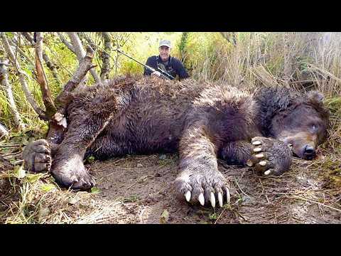 20 Grootste Dieren Ooit Op Camera Vastgelegd