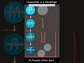 Understanding Karyotypes and Chromatids