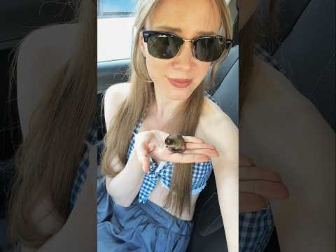 Хоть из дома не выходи…
