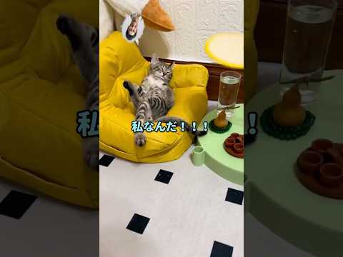 【スカッと】男子にだけキツく当たる担任の先生の末路ｗ