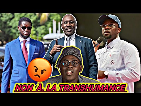 Questions réponses-Zalle Vs Bassirou Diomaye et Ousmane Sonko sur Samba Ndiaye Non À la Transhumance