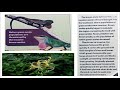 Ecosystem Dynamics and Human Impact
