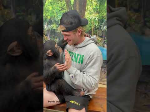 Logan paul meets Angada!