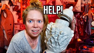 Swamp Fam!  I Need HELP! (Back To School?)