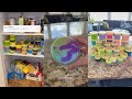 Slime Collection and Preferences