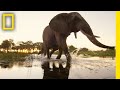 Exploring the Okavango Wilderness