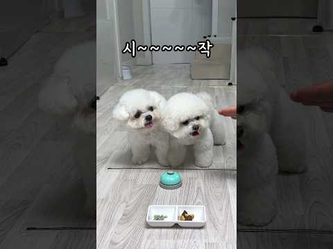 눈치게임 1...2....
