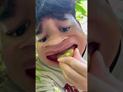 Thòi lòi Bu về với tự nhiên. #hidding #vlog #vlogs