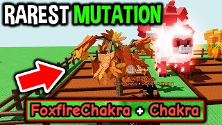 RAREST FOXFIRE CHAKRA KITSUNE MUTATION in Roblox Grow a Garden..