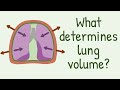 Understanding Lung Volume