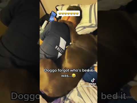 jajajaja 😂