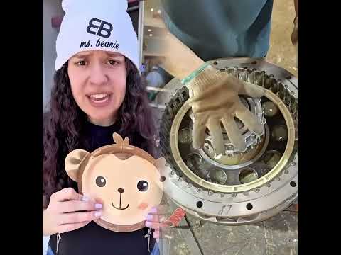 WHICH ANIMAL PLATE SHOULD SHE PICK #msbeanie #tiktokuni #fypシ゚viral #pov #foryoupage #fypツ