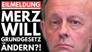 🔥EILMELDUNG: ALICE WEIDEL GREIFT MERZ AN - CDU KURZ VOR DEM KOLLAPS🔥