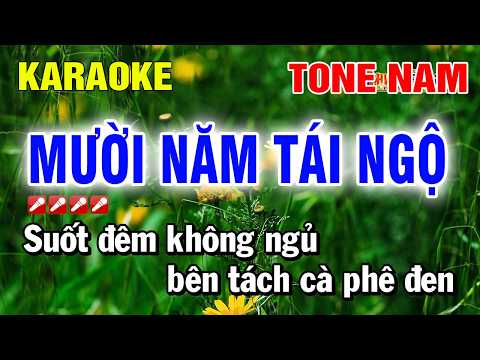 Mười Năm Tái Ngộ Karaoke Tone Nam Nhạc Sống | Nguyễn Linh