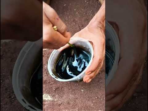 Belum diketahui banyak orang mengatasi dengan cepat ban motor yang kotor #fyp #shorts #viralvideo