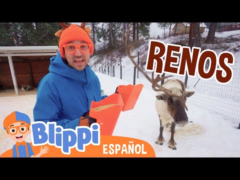 Diversión navideña con renos de Blippi 🎄🦌✨ | Blippi Español | Videos educativos para niños