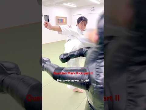 Question Mark Kick part II / 変則回し蹴り II #大谷道場 #空手 #kyokushin #karate #kick #martialarts #shorts
