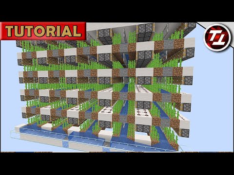 Sugar Cane Farm! Compact, Lossless, Easy to Build! (Minecraft 1.15+)
