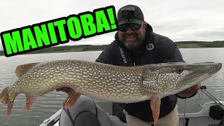 Can I Catch My Biggest Pike Ever Today?