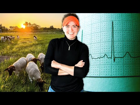 ❤️‍🩹"HOMESTEADING FOR HEART HEALTH" (w/ Dr. Jack Wolfson) Healing Heart Disease Naturally Cardio