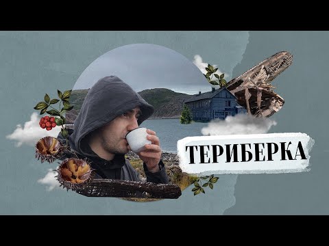 ТЕРИБЕРКА. Лето 2021. Северная пивоварня, еда, красота