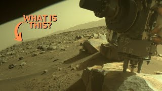 Latest TERRIFYING Images From Perseverance Rover Of Extraterrestrial Life