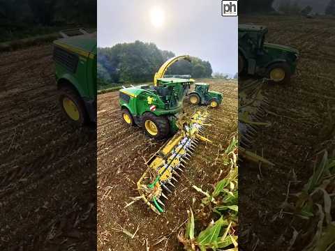 John Deere 9900i Self Propelled Forage Harvester on Maize Silage #agri