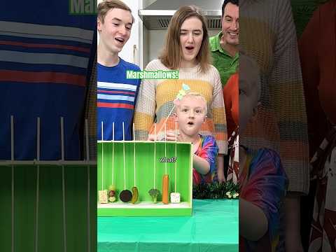 Chocolate Fountain Surprise Challenge ๐๐ซ๐ | Ballinger Family #stpatricksday #challenge