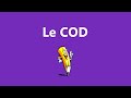 Identifying the Direct Object Complement