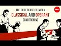 Classical and Operant Conditioning Concepts