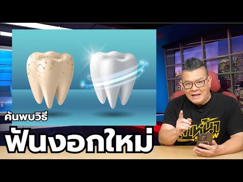 นักวิจัยมหาวิทยาลัยเกียวโต ค้นพบวิธีทำให้ฟันกลับมางอกใหม่ได้อีกครั้ง
