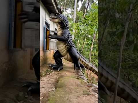 Monster tokek dari jendela rumah