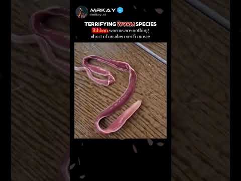 Most Terrifying Worms 😱