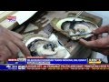 Pearl Cultivation in Bali's National Park