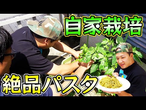 自家栽培したバジルで絶品パスタが完成した！！
