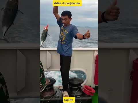 pria yang cerdik, strike di tengah perjalanan #top8tv #fishing
