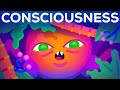 Understanding Consciousness