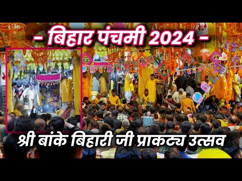 बिहार पंचमी 2024 | वृंदावन के ठाकुर श्री बांके बिहारी जी प्राकट्य दिवस | Bihar Panchami Vrindavan