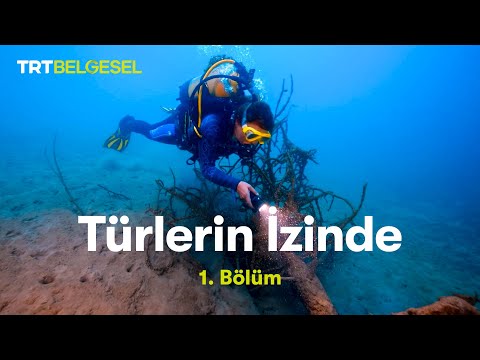 Türlerin İzinde | 1. Bölüm | TRT Belgesel