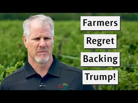 Penny Drop Moment For Farmers Who Backed Trump, But What About British Ones?