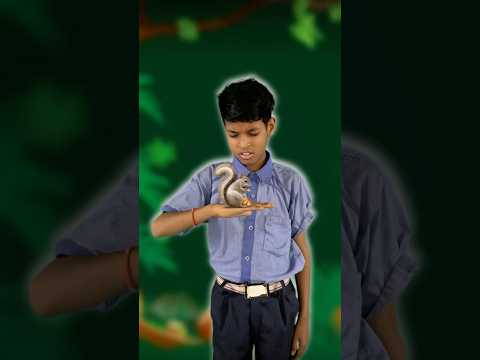 गिलहरी Part 6 #mastikipaathsala #gilehri #srsir #dolly #doli #nimuda