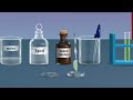 Photosynthesis and Starch Experiment