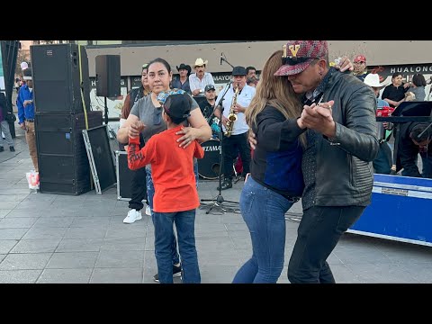 Chihuahua ❤️y su gente 🤠🕺💃Bailadora♥️☀️