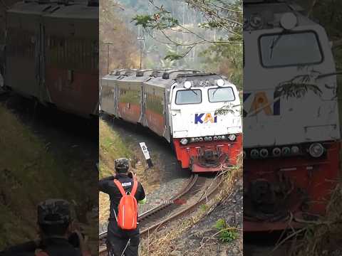 Kereta api dan Railfans sesuatu hal yang tidak bisa dipisahkan #keretaapi #daop2 #shorts
