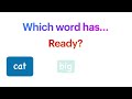Word Repetition in Video