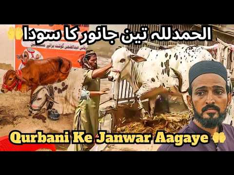 Mandi Mein Yeh Sb Kaam Bhi Hota Hai Kia?|| Biggest Cow Mandi In Karachi ||