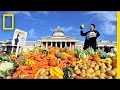 Understanding Global Food Waste